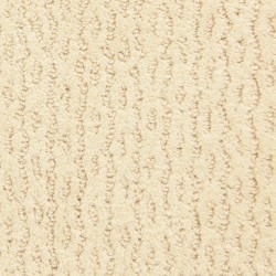 Fabrica Montalcino  Carpet