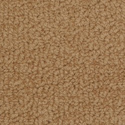 Fabrica Savant Carpet