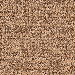 Karastan Artistic Charm Carpet