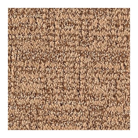 Karastan Artistic Charm Carpet