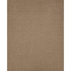 Karastan Lanai Brown By...